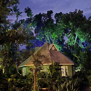 Bak A Yaad , Negril Jamaïque